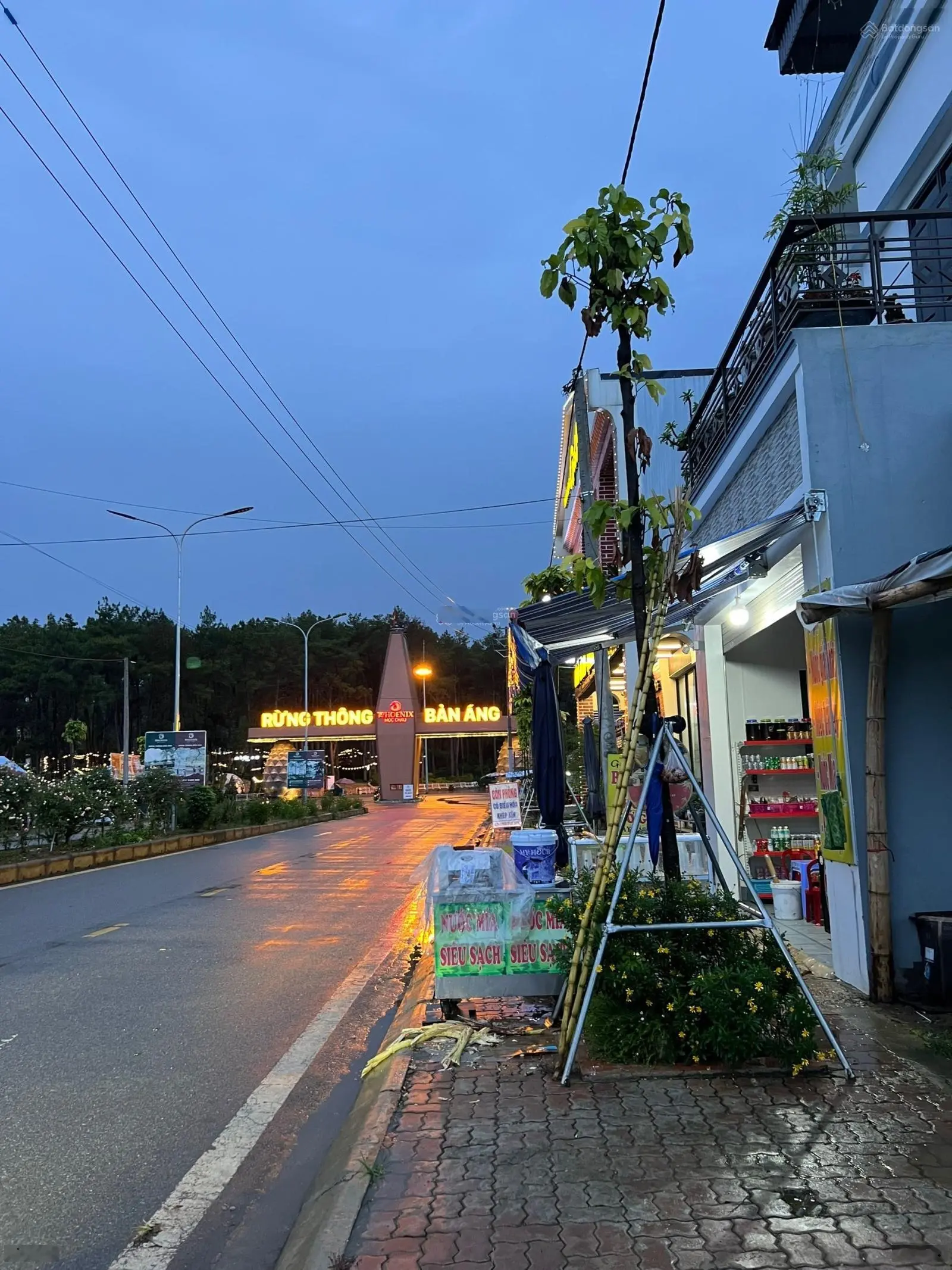 CC bán đất rừng thông Bản Áng, Mộc Châu, Sơn La, 2.100m2. MT 35m, full thổ cư, đường to KD sầm uất