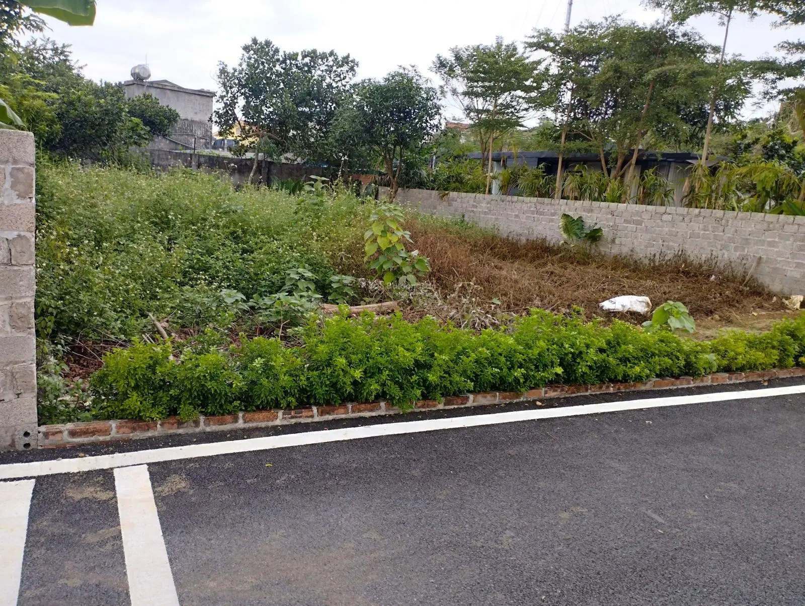 Bán đất nền dự án Hòa Lạc Avenue tại xã Tiến Xuân, giá 10,911 tỷ, 237.2m2