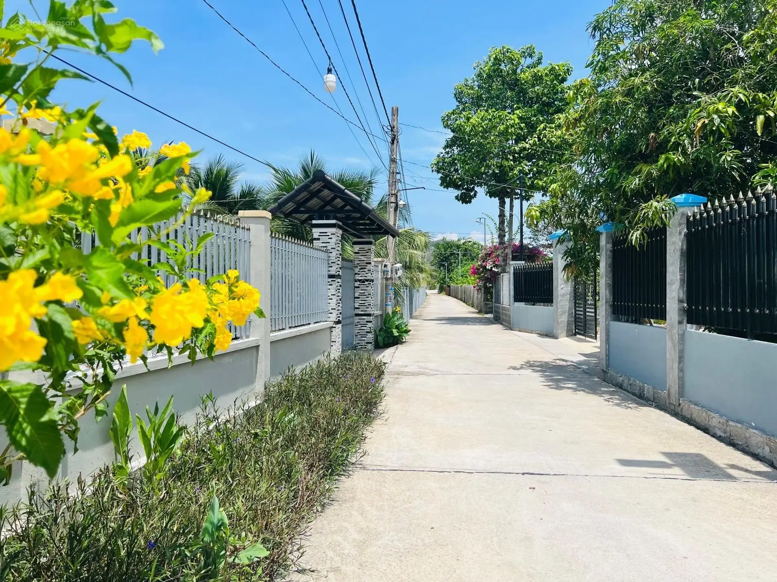 539m2 Long Mỹ - Đất Đỏ - BRVT giá siêu mềm chỉ hơn 2,9tr/m2 làm vườn siêu đẹp