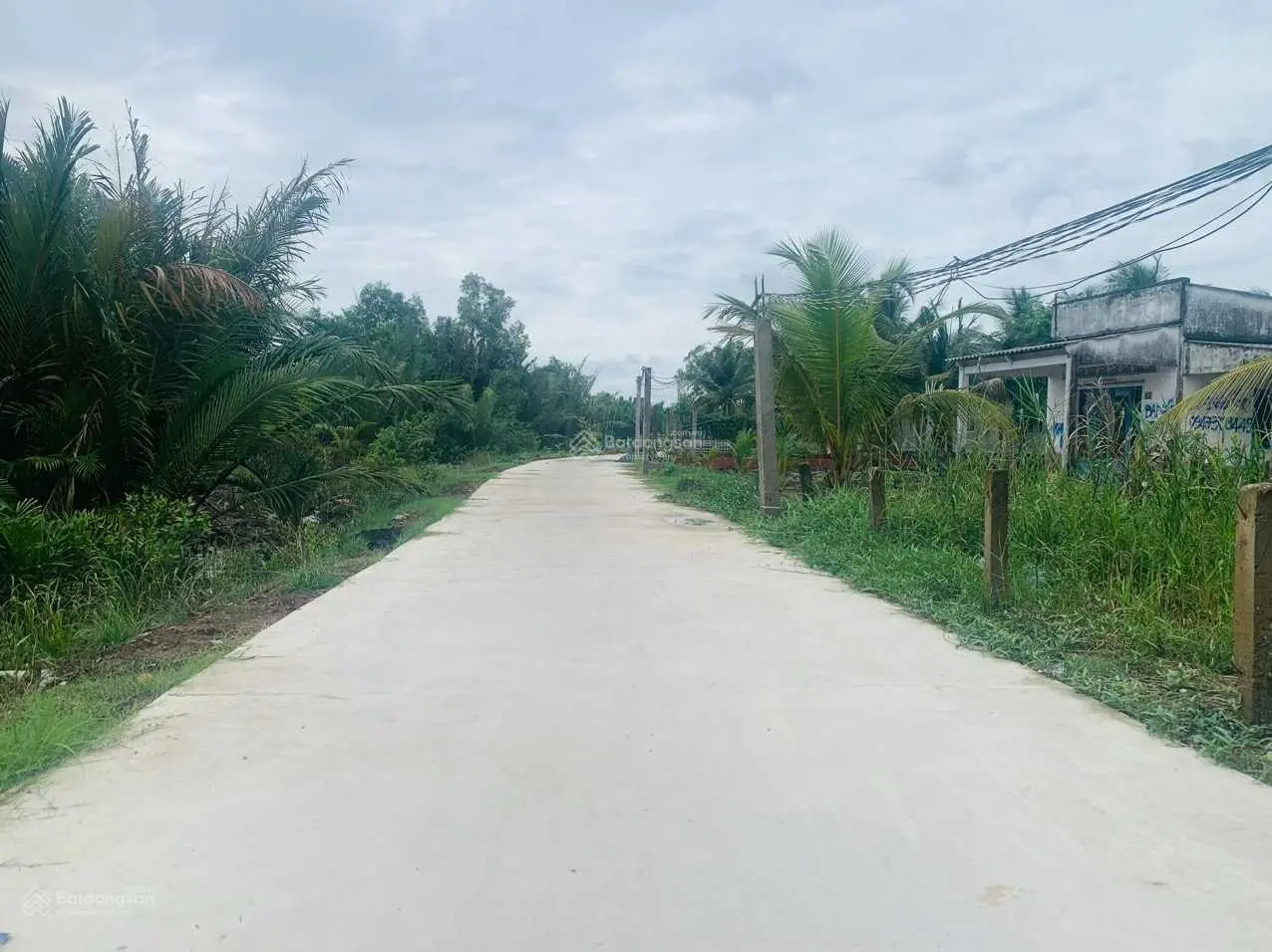 Bán nhanh 250m2 thổ cư siêu rẻ, siêu đẹp, đường xe tải lớn, Đê Trường Long, Cần Giuộc