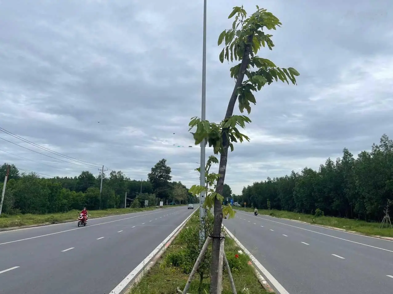 Mặt tiền Nguyễn Hữu Cảnh, Huyện Nhơn Trạch, Đồng Nai, ngang 50mx100m, CN: 4500m2, 7tr/m2
