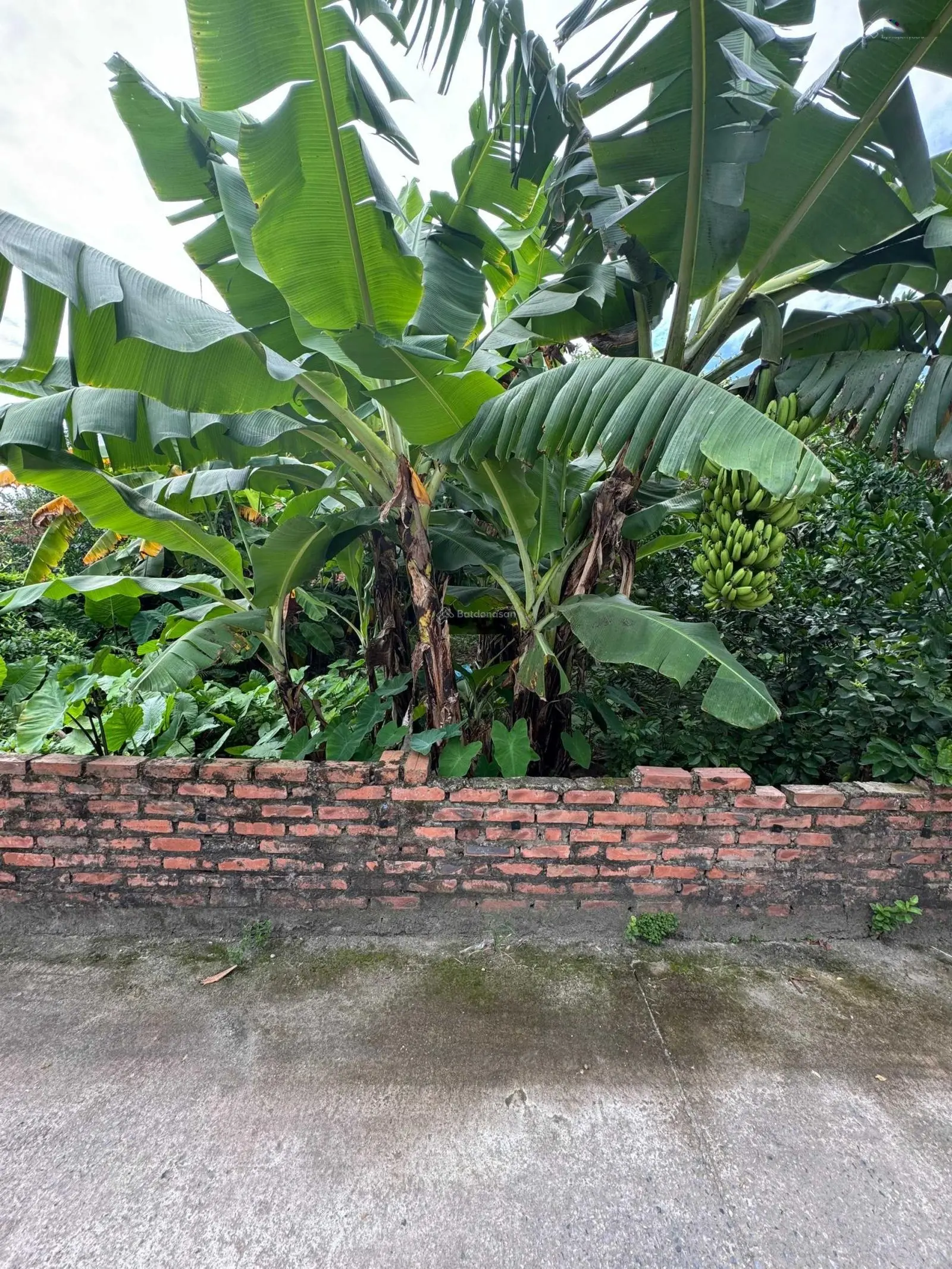 Bán đất chính chủ ngõ Độc Lập, Cự Khối diện tích 300m2, đường 2 ô tô tránh, giá 40tr/m2