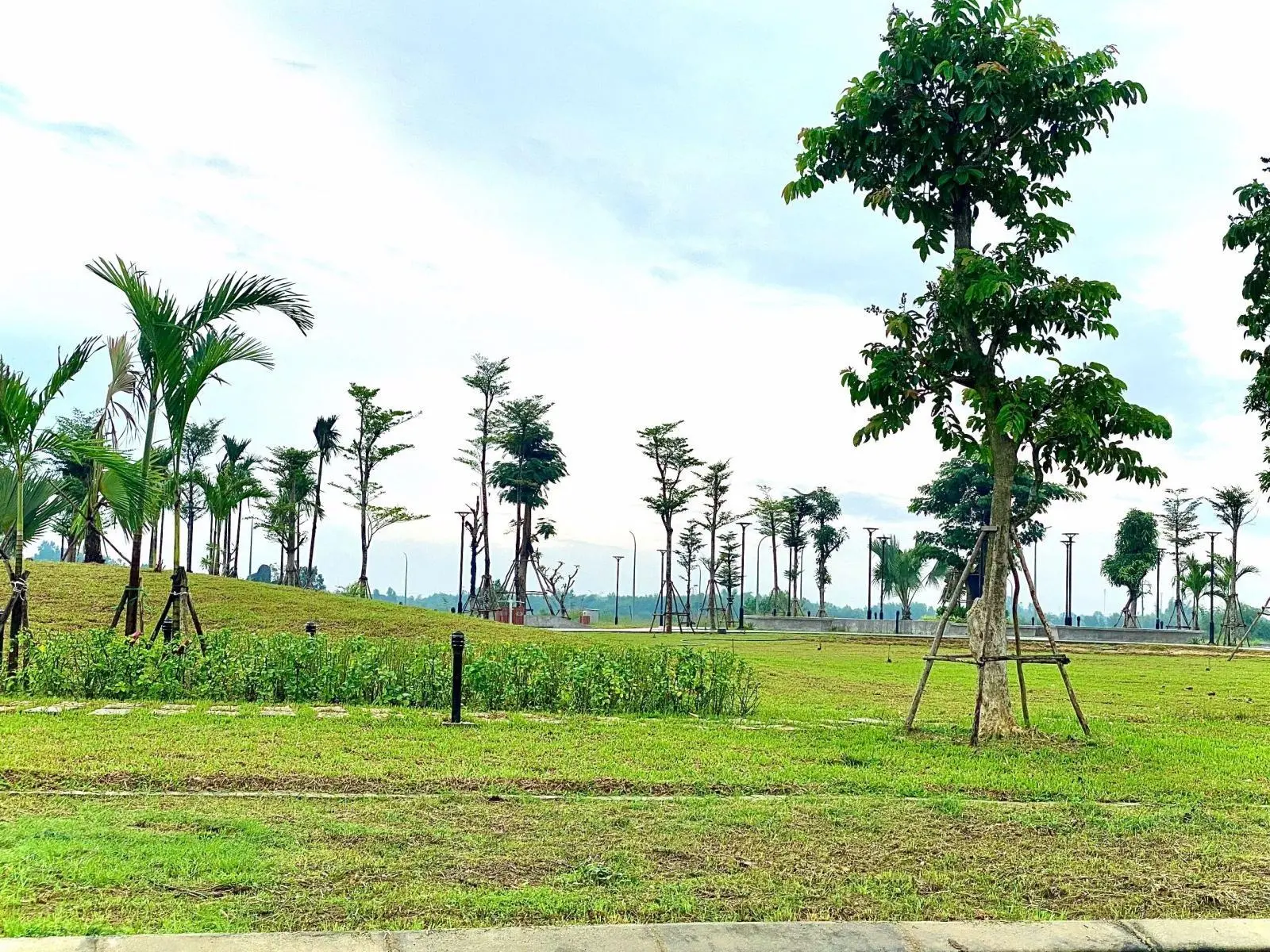 Cần bán lô đất DA Phú Mỹ vị trí quá đẹp, gần ngay đầu cổng, đối lưng shophouse, bên hông đường hoa