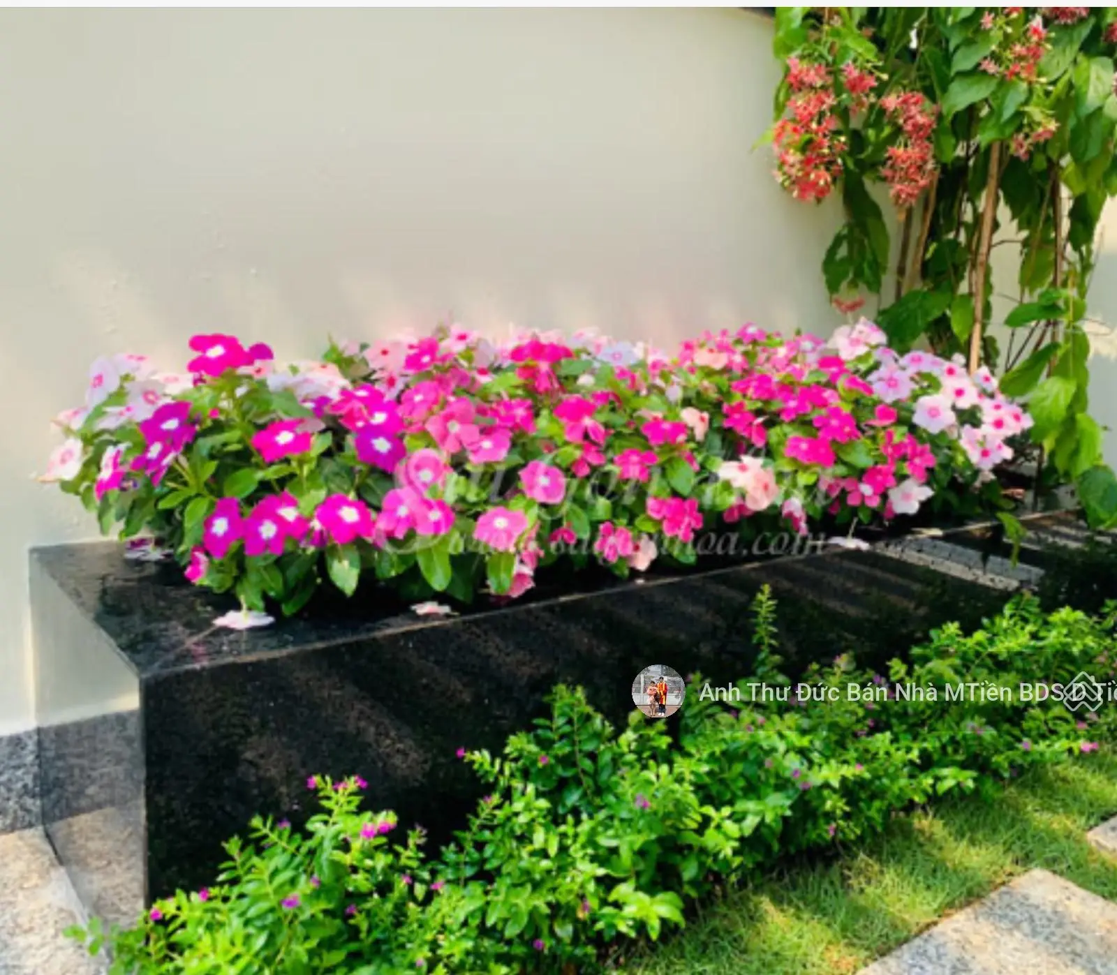 7,99ty siêu phẩm 3 tầng đẹp lung linh -hxt -trịnh đinh trọng - au co- tt tân phú - 55m2 -