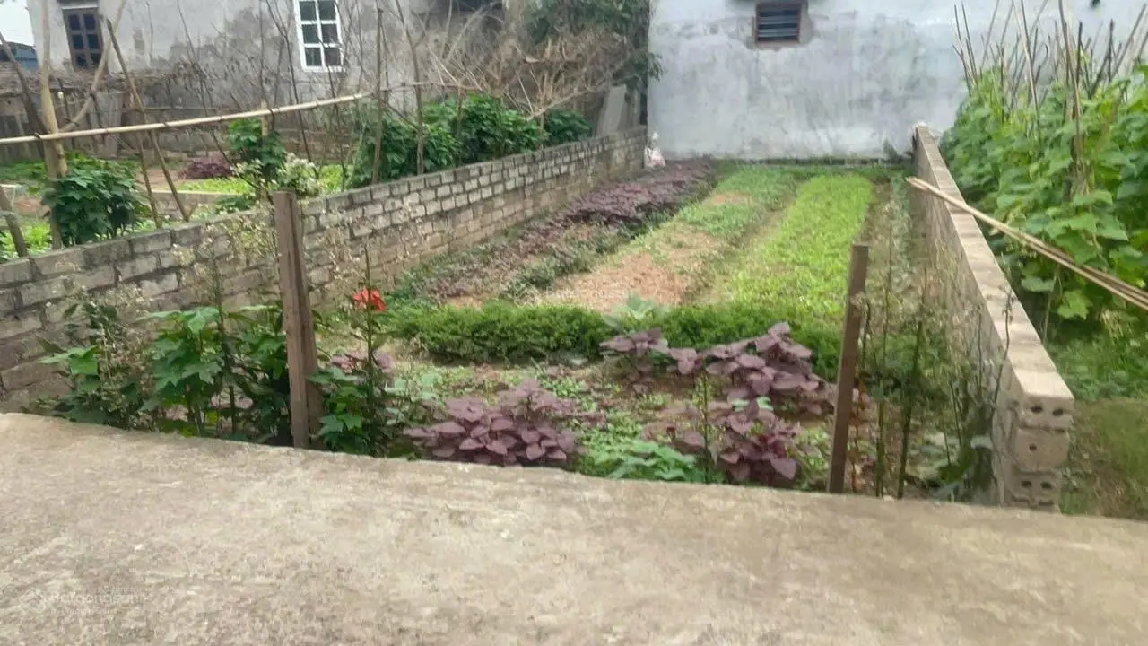Bán đất tại thị trấn Phúc Thọ, giá 24,5 triệu / m2, diện tích 59,5 m2