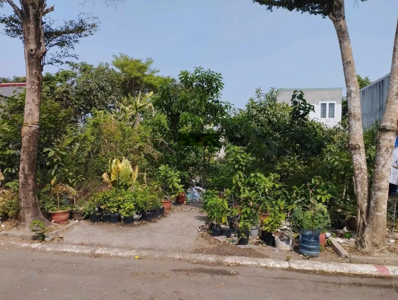 Đất đẹp giá rẻ Bình Nhâm 88 đầu tư đảm bảo sinh lời, gần 5 Trường học, Đất Thánh, chợ Lái Thiêu