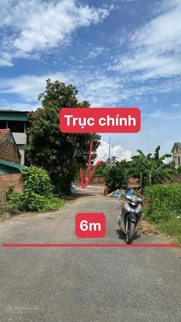 Bán nhanh 65m full thổ cư tại Thanh Mỹ, TXa Sơn Tây