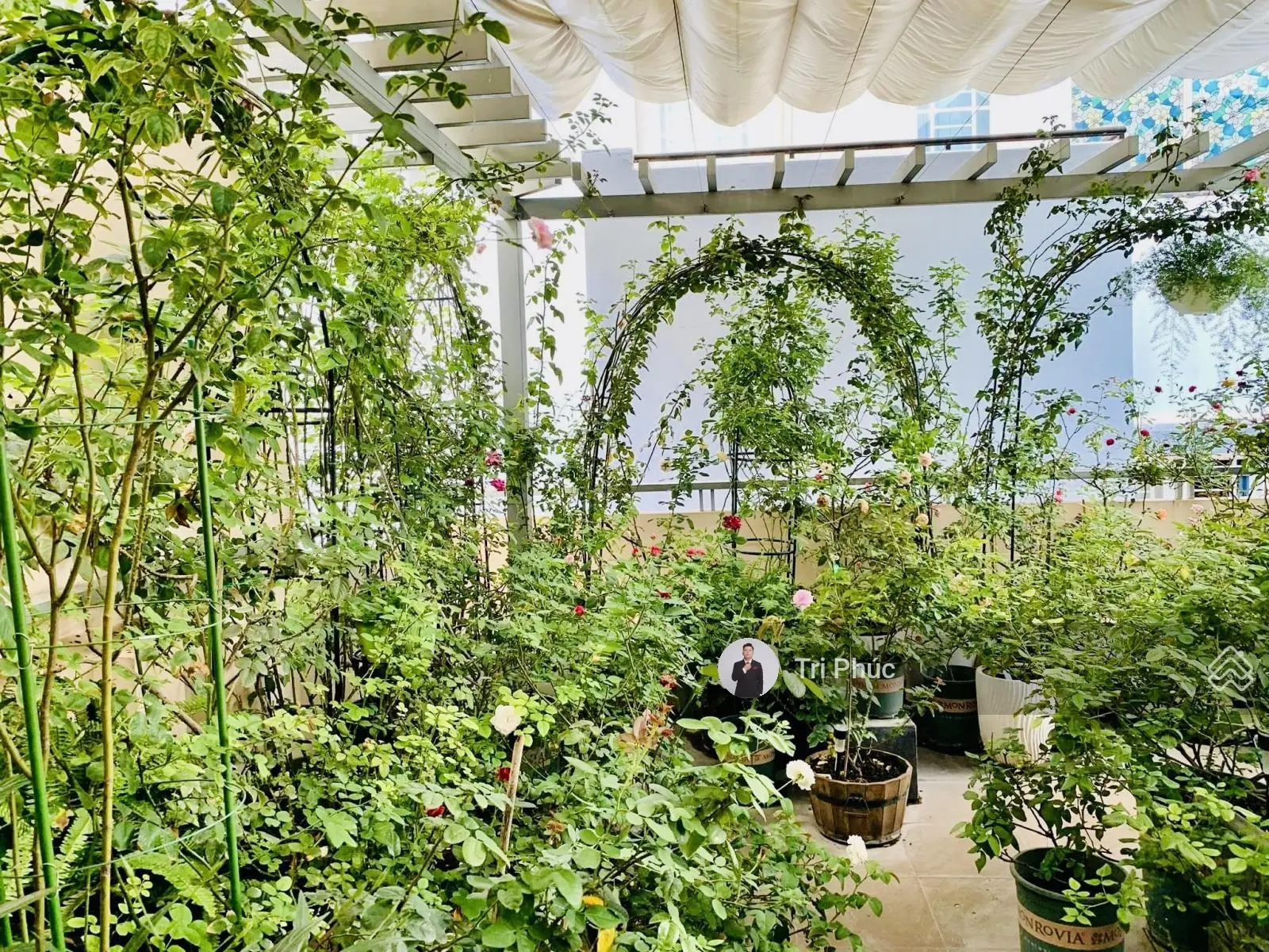 Hiếm-Ngay Ngã 4 Phú Nhuận-100m2-Phan Đăng Lưu Thông Phan Xích Long- Chỉ 10.xTy Tl