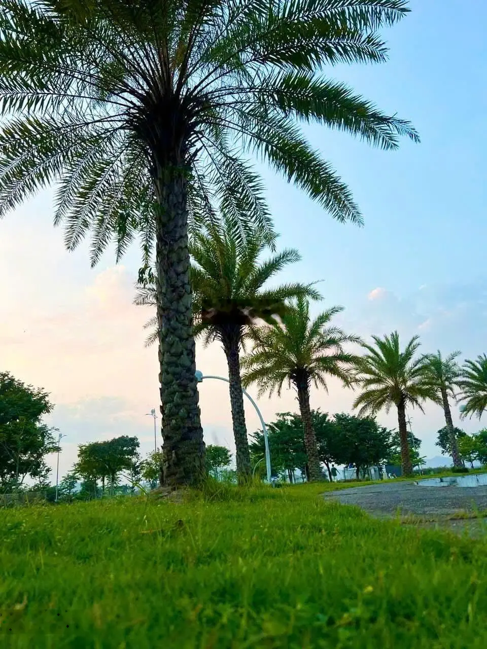 Chính thức ra mắt dự án Casa Flora - đại đô thị Vsip Nghệ An - ngay tại đại lộ Vinh Cửa Lò 72m