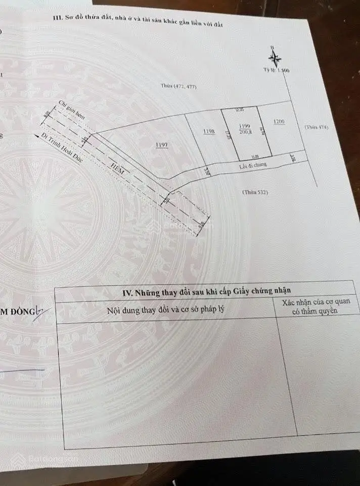 Bán đất biệt thự đường Trịnh Hoài Đức, P11, TP Đà Lạt. Đất đẹp giá đầu tư