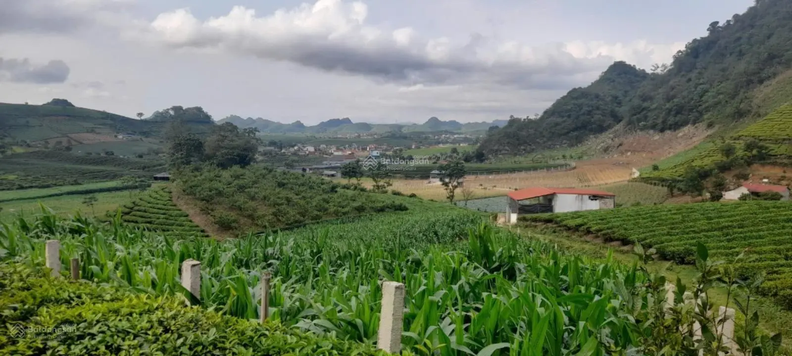 Mảnh đất siêu rộng, siêu đẹp nằm vị trí đắc địa của Chiềng đi TT Nông Trường Mộc Châu