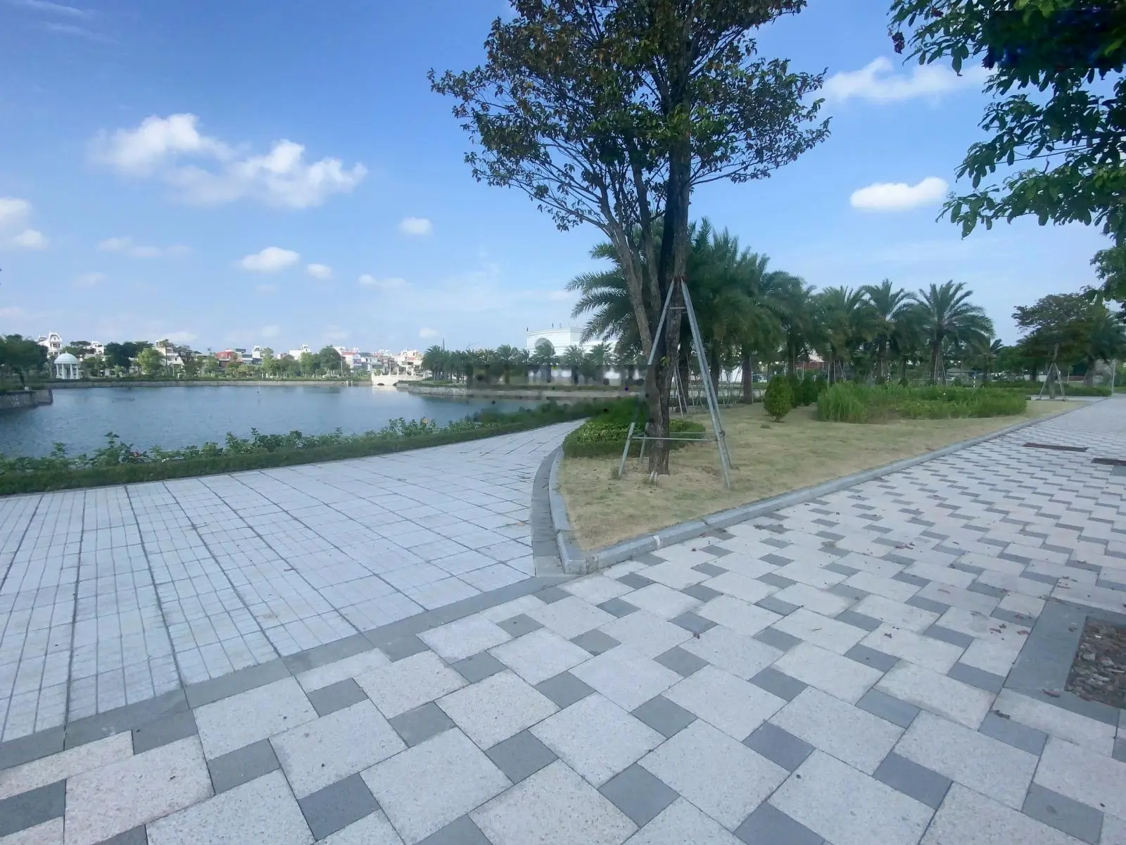 Tôi chủ lô đất LK5.64: DT 85,5m2 Đại Lộc I - Quang Giáp, cần bán giá rẻ nhất lock