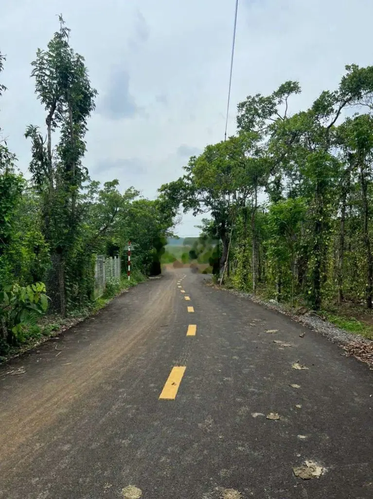 1 sào 3 phủ hồng view hồ sông ray đường nhựa thông