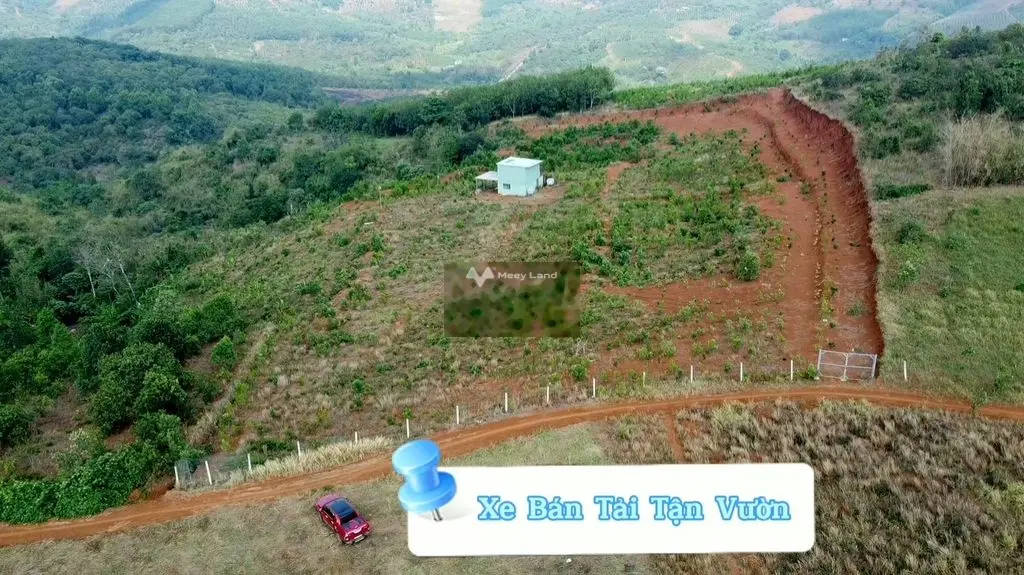 💥CHỈ 500TR/HA ĐẤT NÔNG NGHIỆP ĐÃ PHỦ KÍN CÂY TRỒNG💥