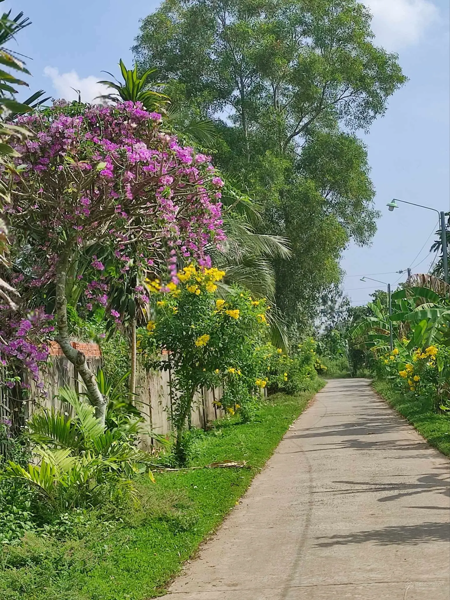 [CHÍNH CHỦ - GIA CANH] Cần bán 30m mặt đường bê tông, dài 50m.