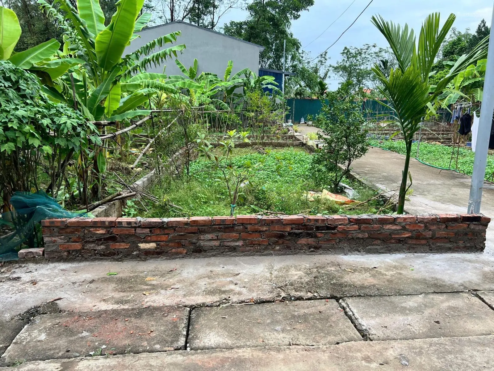 BÁN ĐẤT CHÍNH CHỦ tại Thị trấn Phúc Thọ, 26,5 triệu/m, 51m, mặt tiền 4m