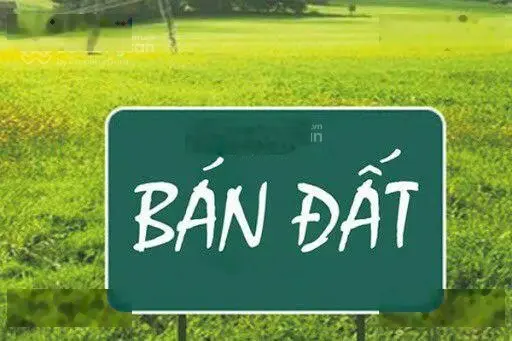 Bán đất đấu giá thôn Vàng tại Cổ Bi, Gia Lâm, HN đường ô tô tránh thông tứ tung