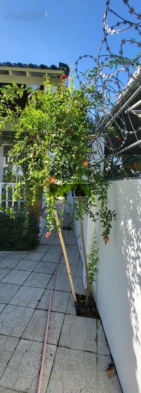 Bán nhà trệt mái Thái sân vườn rộng hẻm oto 2 mặt tiền đường 23/10 DT 417m2 giá chỉ 13tr/m2