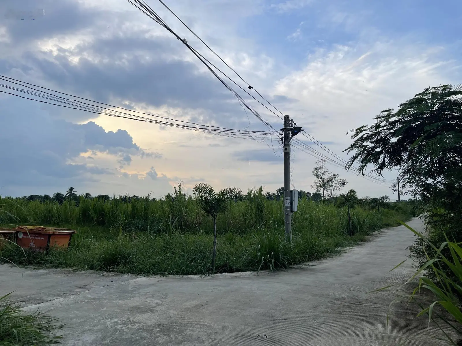Bán đất chính chủ của Tài 950 triệu VND tại Thủ Thừa, Long An, diện tích 150m2 SHR full thổ