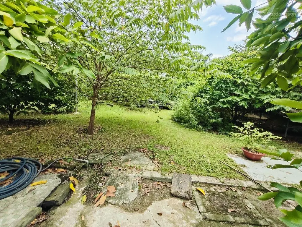 Không thể rẻ hơn, trang trại 3.461m2, đường nhựa 7m, Linh Xuân, Thủ Đức, chỉ 23,5 tỷ