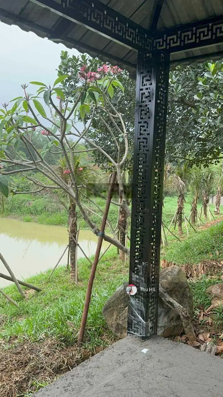 CC bán 4327 m2 đất Trại láng - xã Cổ Đông, 40 m mặt tiền. Đường 2 ô tô tránh nhau