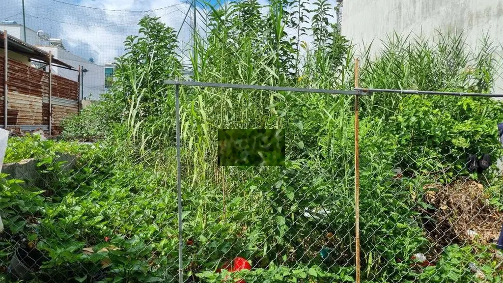 BÁN ĐẤT 65m2 SỔ RIÊNG THỔ CƯ 100% KẾ CẦU PHÚ XUÂN Q7