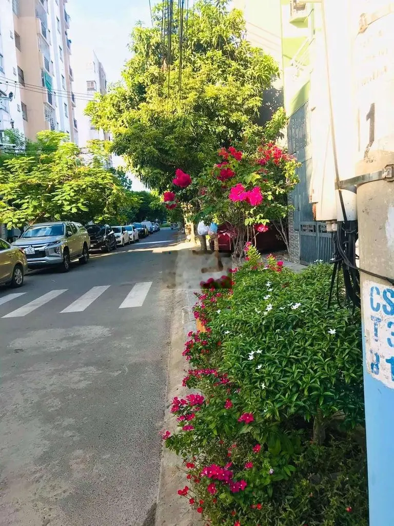 🌐🌐(SIÊU RẺ) NHÀ 3 MÊ ĐÚC ĐƯỜNG NHỰA 3M75 Ở VÀ KINH DOANH SƠN TRÀ