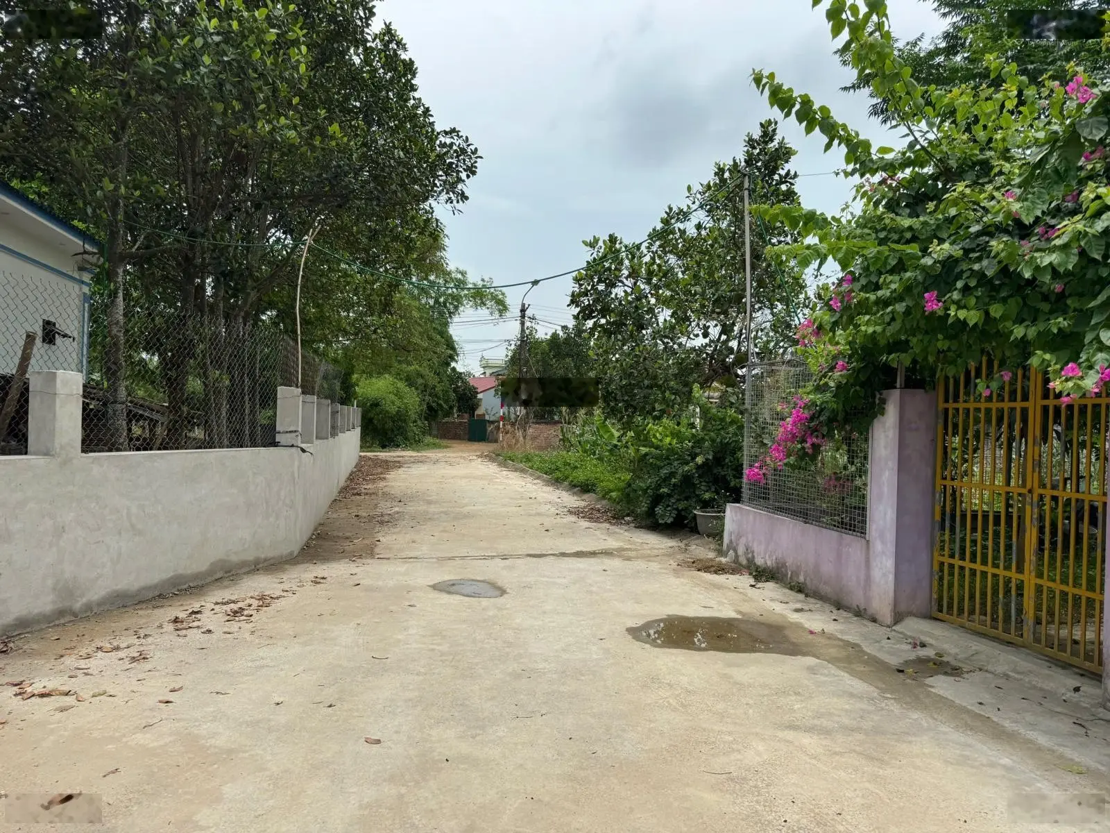 Lô góc 83,9m Sen trì Full tc căn nhà màu tím, sẵn tặng 2p ngủ 2 vệ sinh, điều hòa đầy đủ sẵn ở