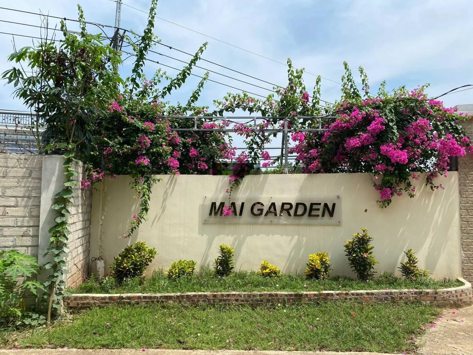 View hồ Đồng Mô Cổ Đông đường 3 oto tránh nhau, kinh doanh được luôn