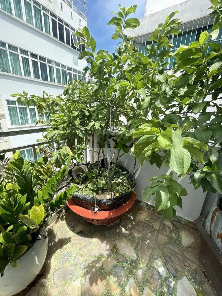 Bán nhà HXH tránh nguyễn Trãi xe hơi ngủ trong nhà nở hậu 5tầng,100m2, Giá 32Tỷ.