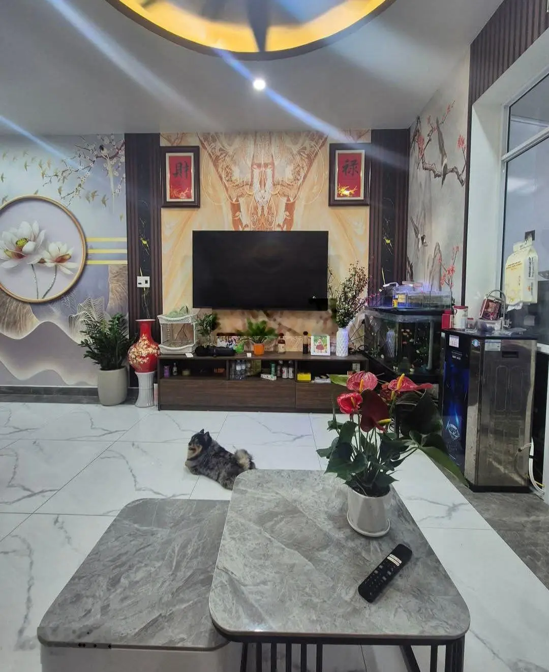 Bán nhà tại chung cư Lương Quán , phường Nam Sơn ,quận An Dương. 60m, 3 tầng, chỉ 2,485 tỷ.
