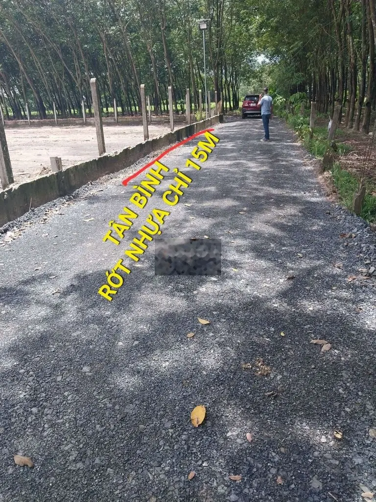 Bán đất Tân Phước, Tân Bình Tây Ninh