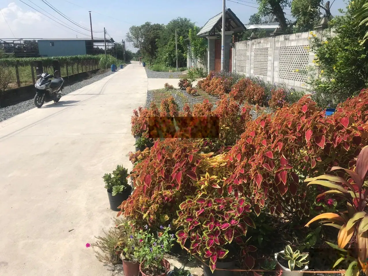 Bán đất MT TL373 gần đường Xuyên Á và KCN Tây Bắc