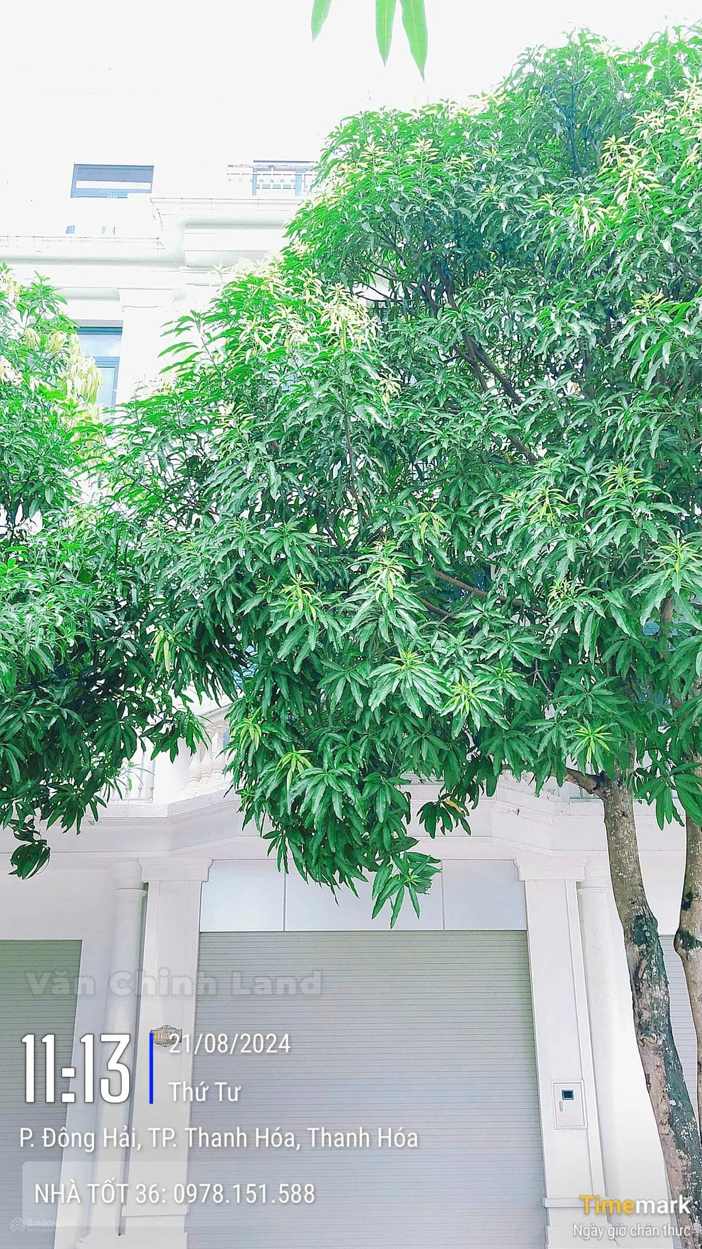 Bán căn 122m mặt tiền 7m hướng Nam duy nhất dự án Vinhomes Star City Thanh Hóa