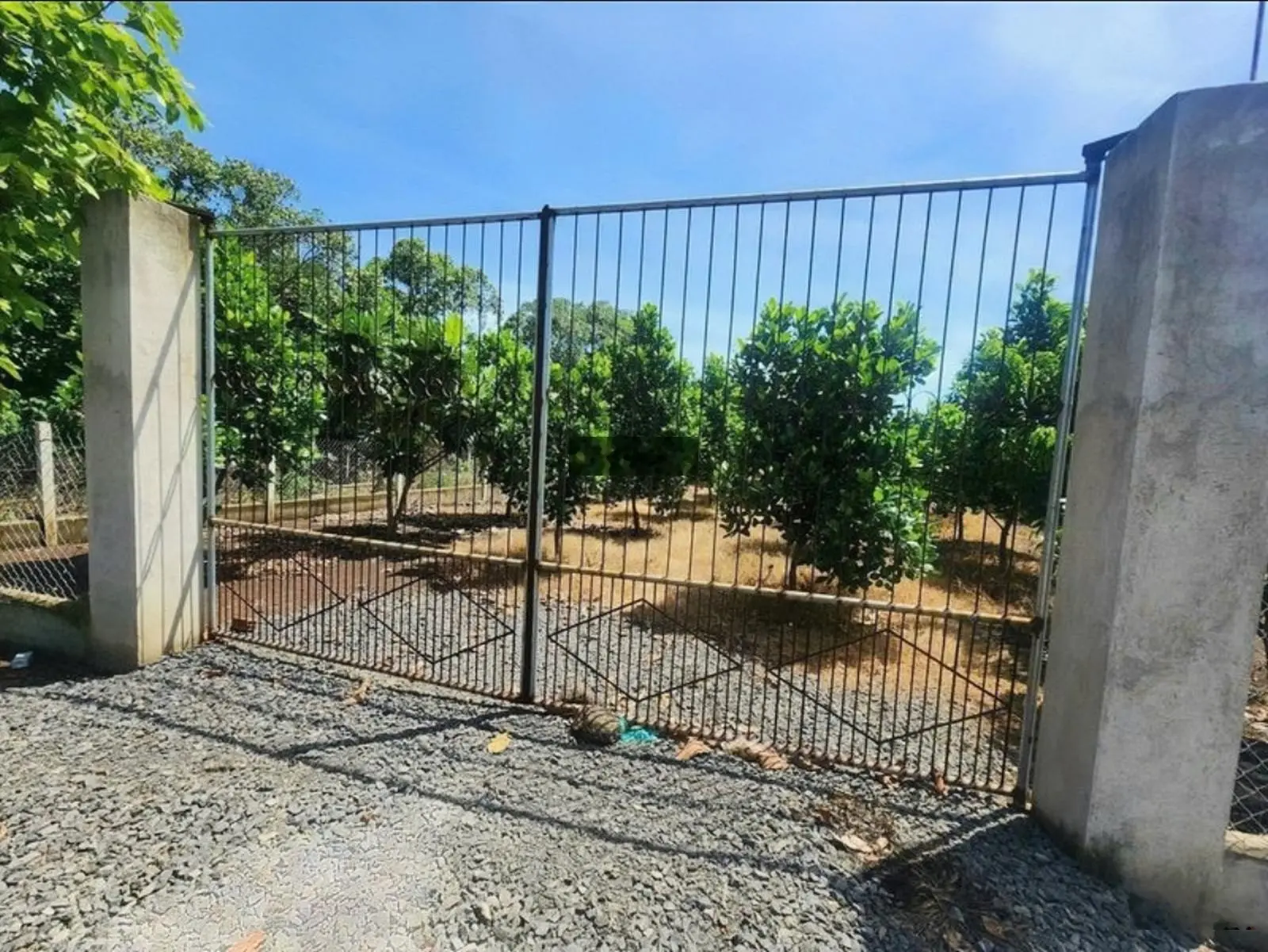 Bán vườn cho chị giá phải chăng ở Bình Dương