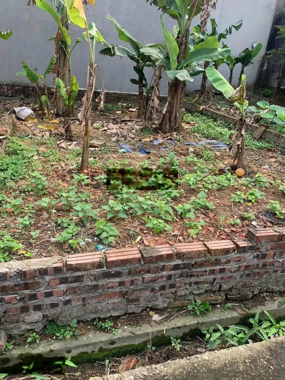 Bán nhanh 42,5m2 nghĩa lại, uy nỗ - ngõ thông ô tô