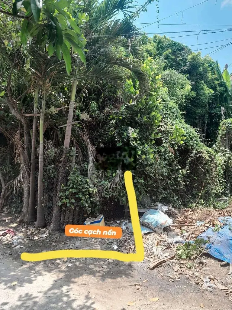 Đất nhà ở khu dân cư