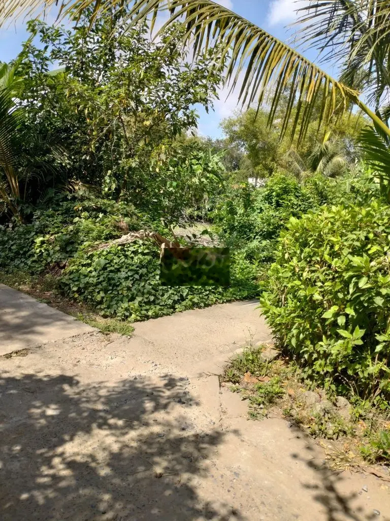 Đất full thổ cư 360m2, phường Khánh Hậu, Tp Tân An.