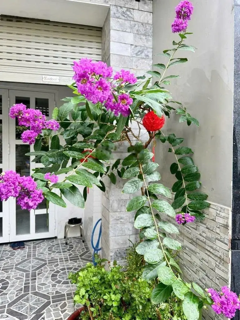 Biệt thự - 203m2 - đường 7m - Nguyễn Duy Trinh - Bình Trưng Tây
