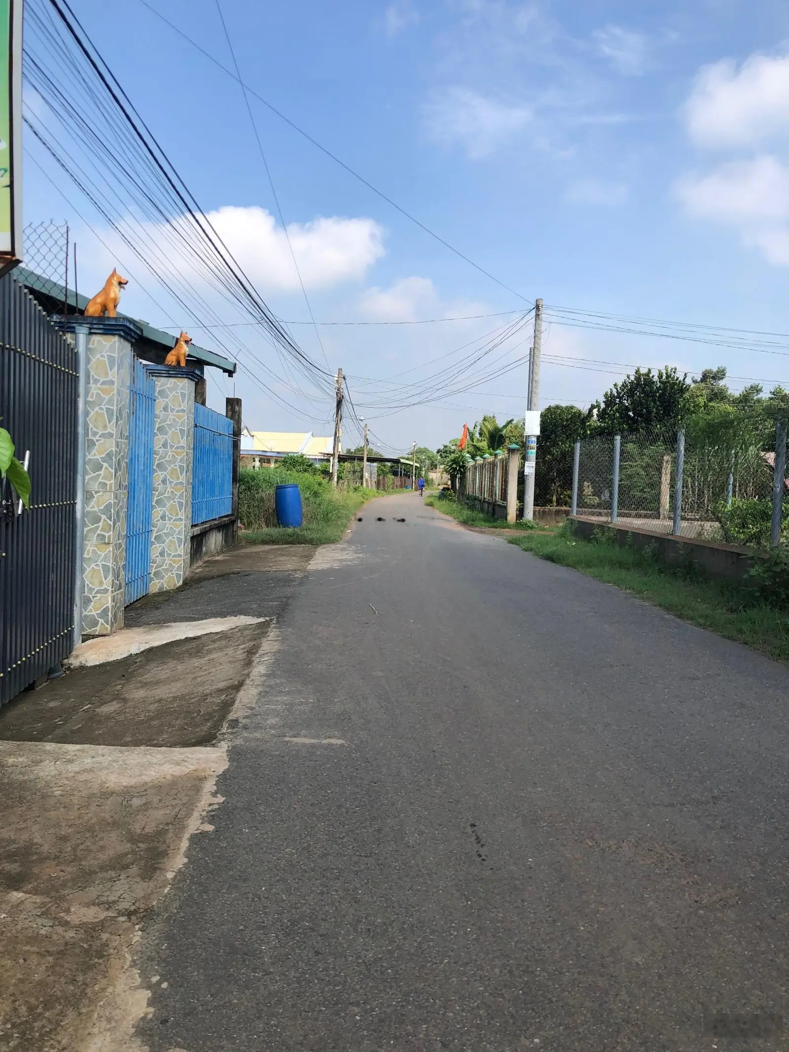 cần bán 115m2 full thổ cư giá 1tyxxx SHR
