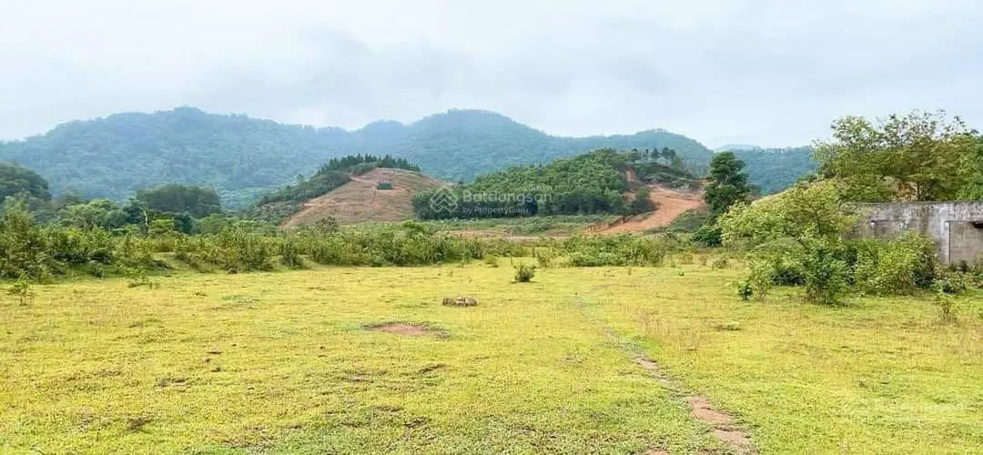 E muốn bán DT 1,5ha, có 1,3ha đất ở còn lại đất vườn, thế đất bằng phẳng, xe công vào được tận đất