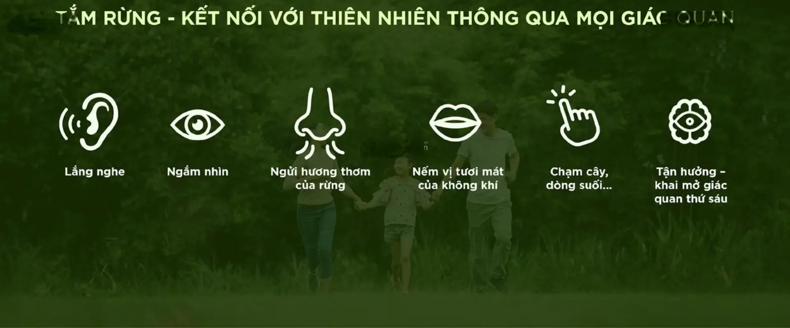 Eco Retreat - Giỏ hàng độc quyền căn đẹp. Alo em Quỳnh Anh
