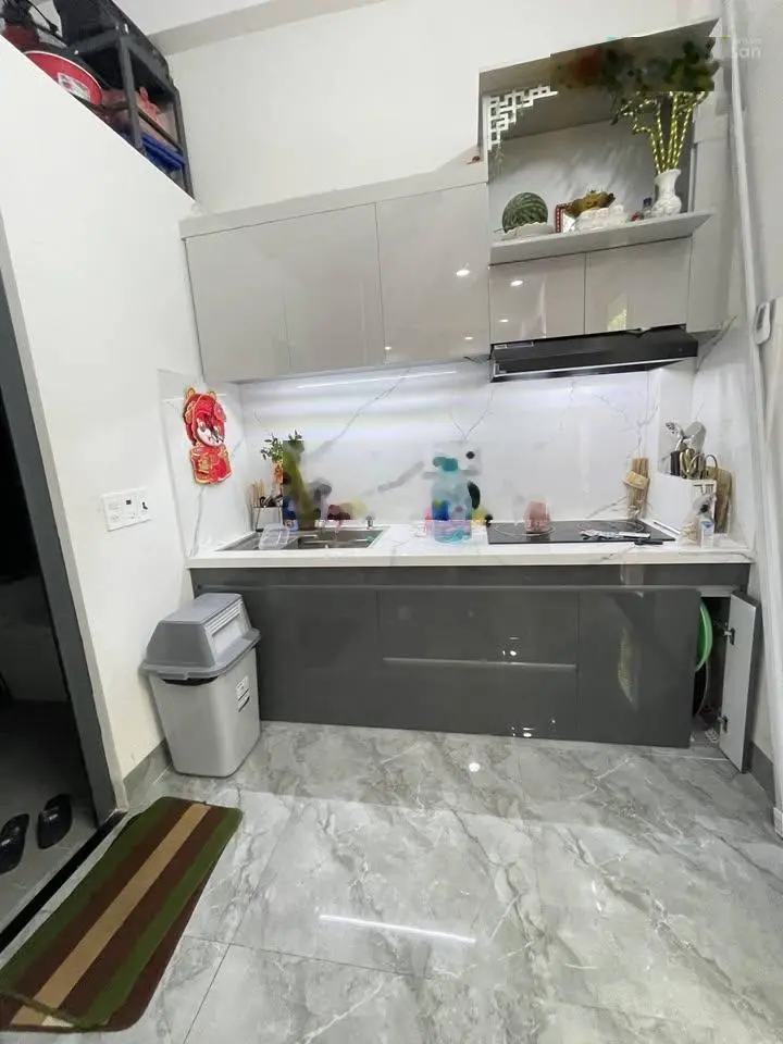 CHỦ ĐỊNH CƯ NƯỚC NGOÀI view đẹp tại Phạm Văn Hai, p 14, Tân Bình, HCM, giá 2,65 tỷ, 53m2