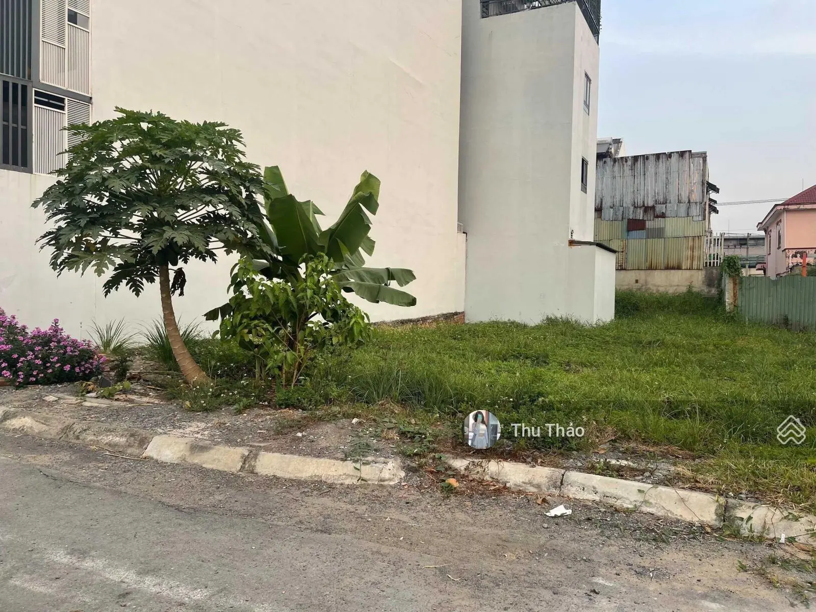 Kẹt tiền cần gấp bán nhanh lô đất MT Võ Văn Phẩm, gần BVDK Bến Tre, Bình Phú, Bến Tre, 125m2, SHR