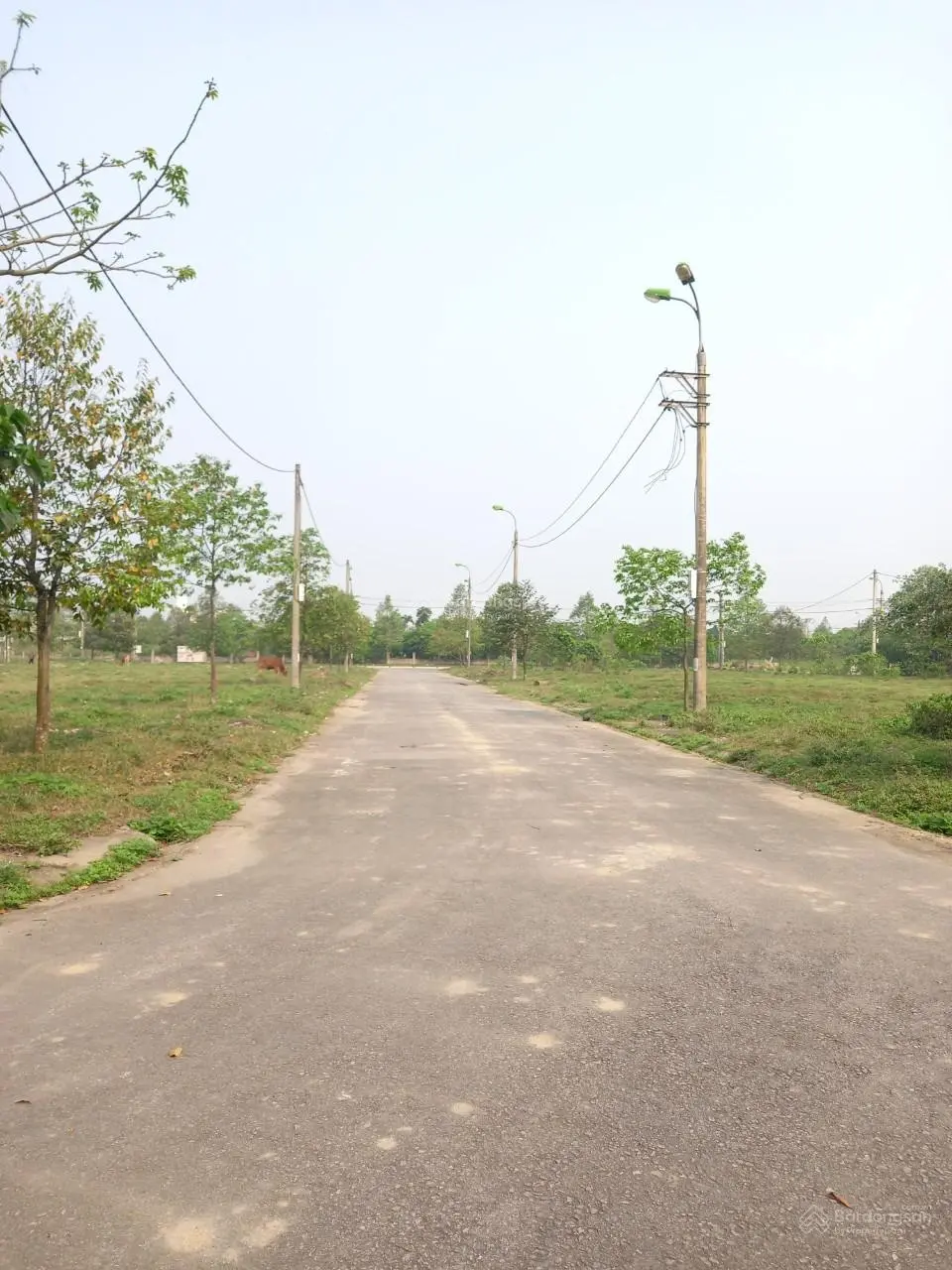 Bán mảnh đất biệt thự đầu ve 245m2 hướng Đông Nam xây dựng tự do