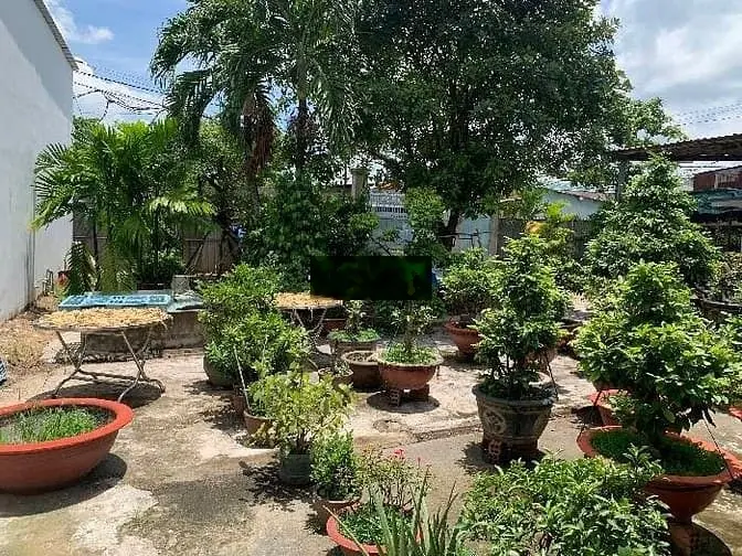 Mặt tiền đường nhựa 8m thông - hơn 238m2, ngang khủng 12m - nhà c4