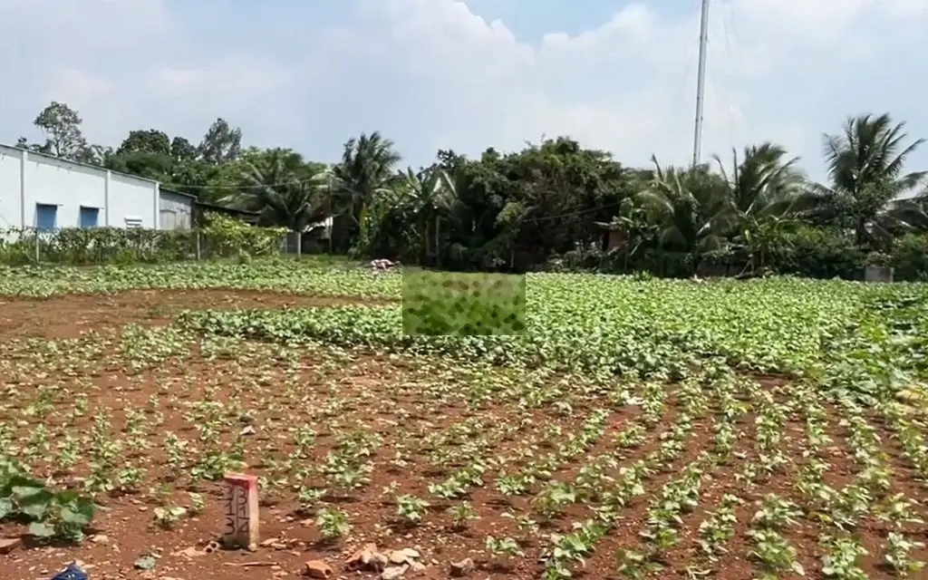 Chủ cần tiền bán nhanh lô đất thổ cư giá rẻ nhất tại Xuân Lộc,Đồng Nai