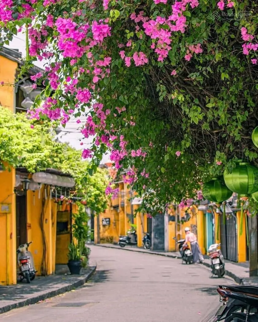 Chính chủ cần bán nhà biệt thự mặt tiền đường Nguyễn Tất Thành, Hội An, TP Đà Nẵng