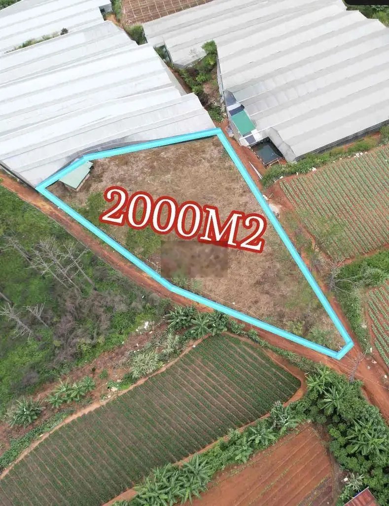 2000m2 Lạc Dương 1ty5