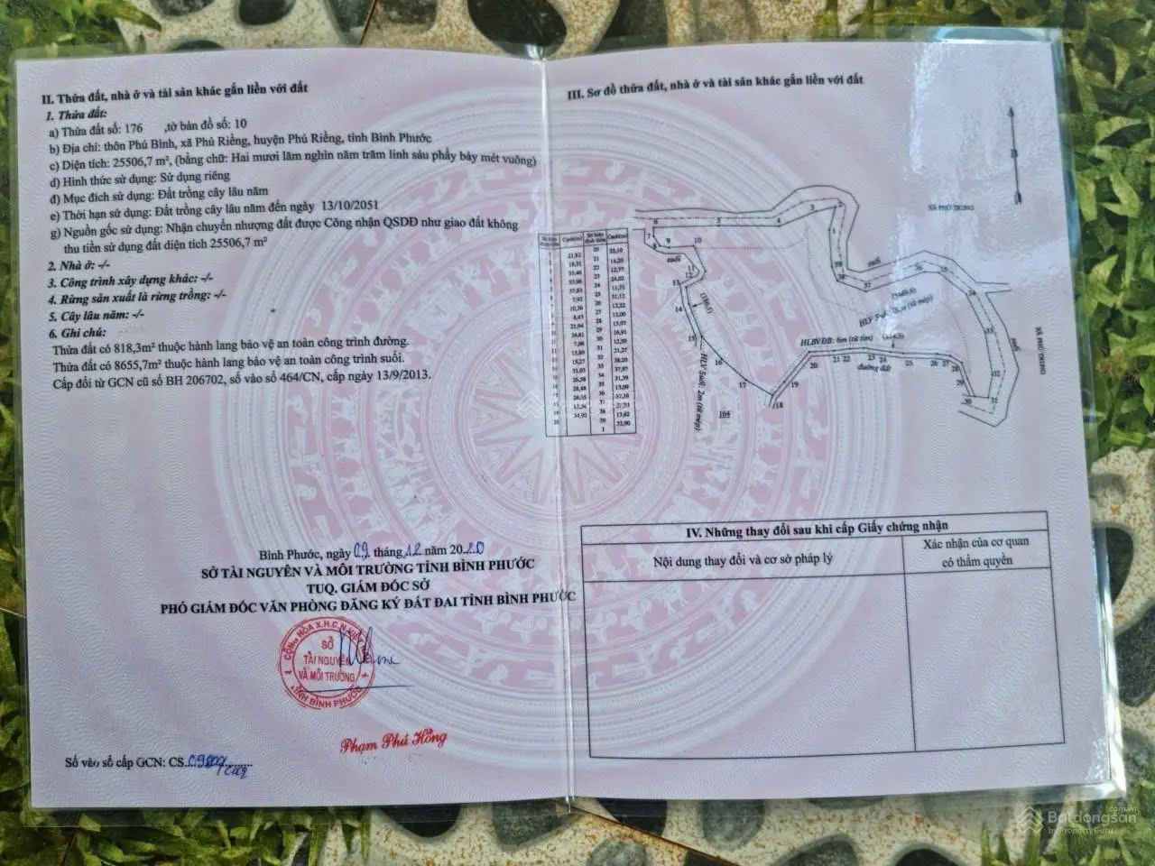 Bán đất cao su 11 năm tuổi, đang thu hoạch mủ, 3ha tại Phú Riềng, giá chỉ 4.7 tỷ